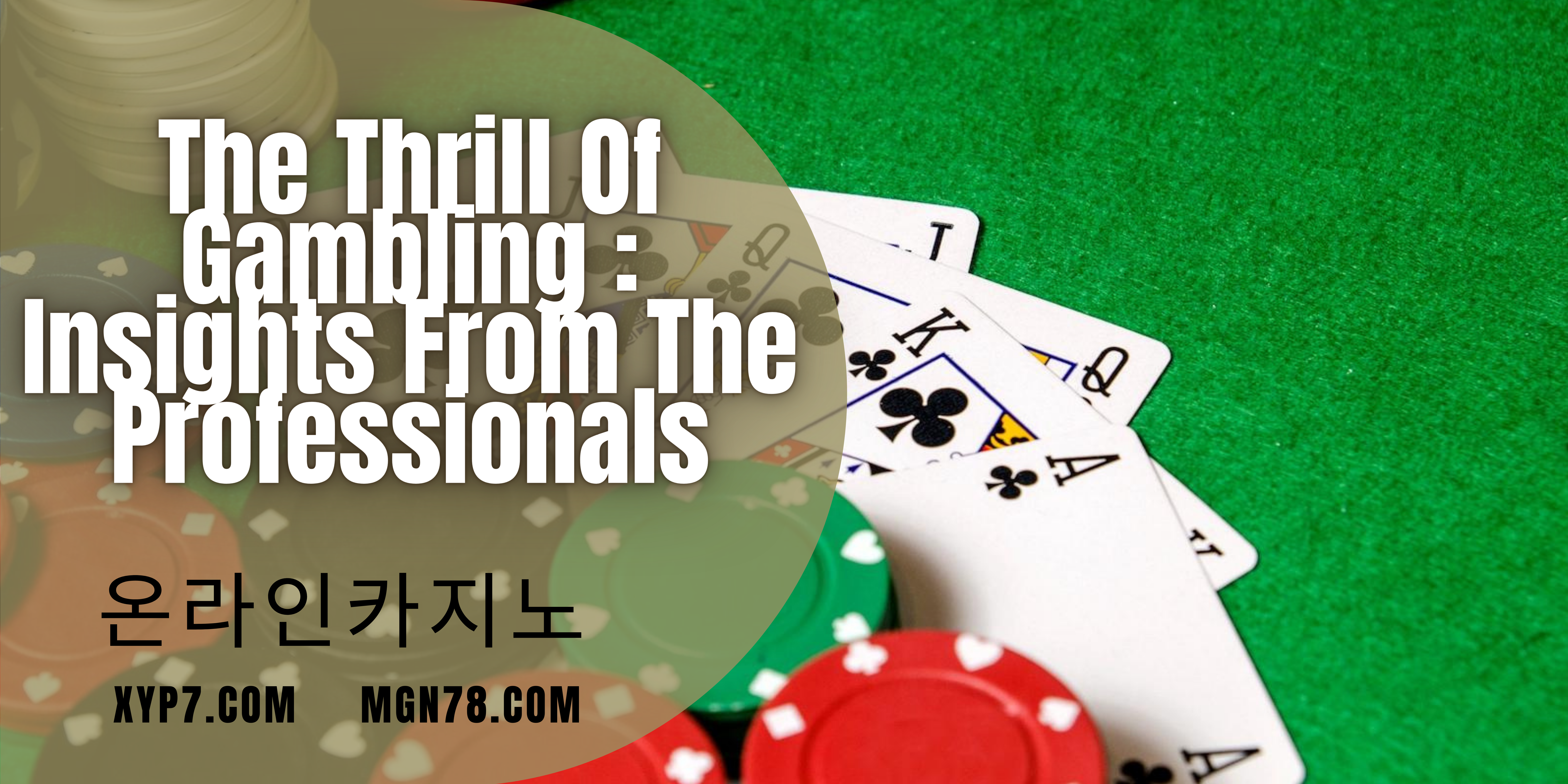 The Thrill Of Gambling : Insights From The Professionals