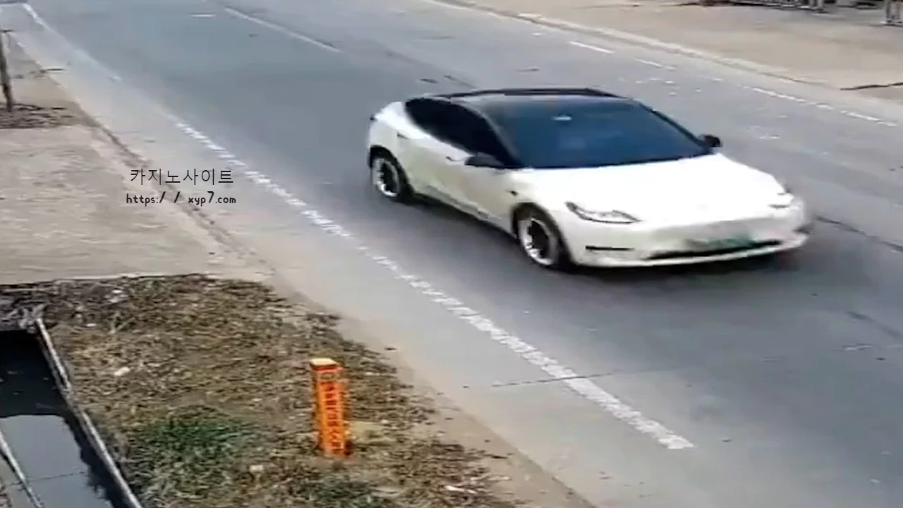 China Tesla incident
