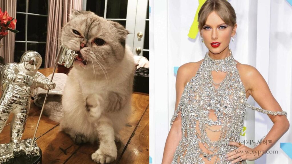 Taylor Swift's Cat Olivia Benson is Richer Than Us